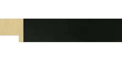 20.1023/17