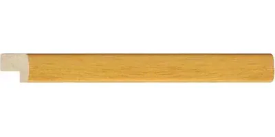 20.1278/2517