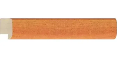 20.1340/2516
