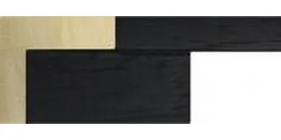 20.1721/0017