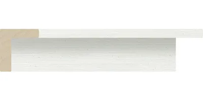 5542/22